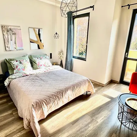 Hello Fox * Budapeste